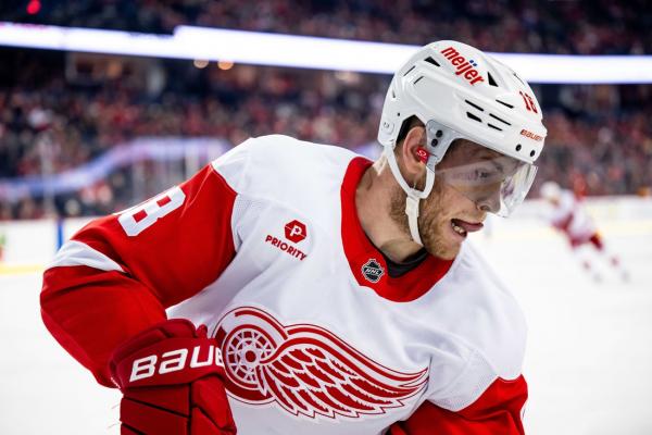 Red Wings place C Andrew Copp (undisclosed) on IR, recall C Sheldon Dries