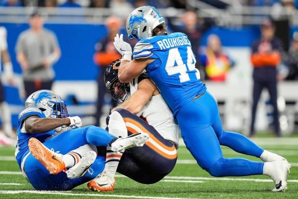 Lions LB Malcolm Rodriguez out for season with torn ACL