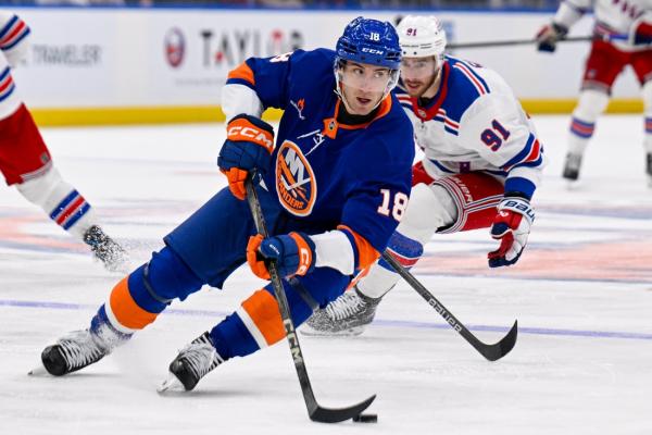 Playoff hopes dimmer for Islanders as they host Panthers