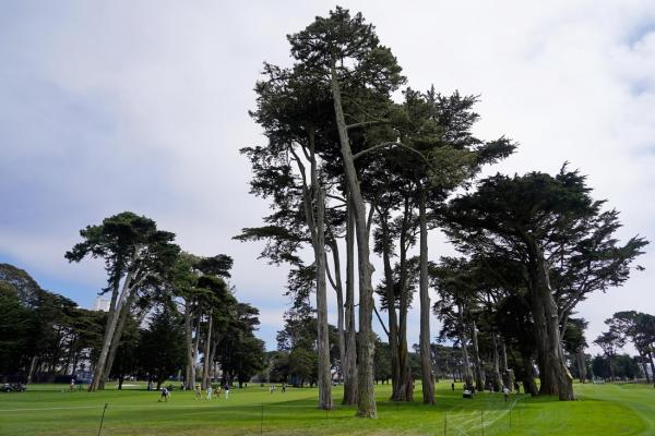 PGA-LIV talks non-existent as new CEO takes over with full plate