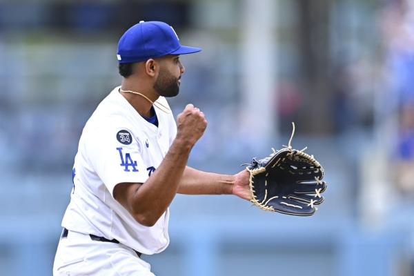 White Sox add RHP Yoendrys Gomez to active roster