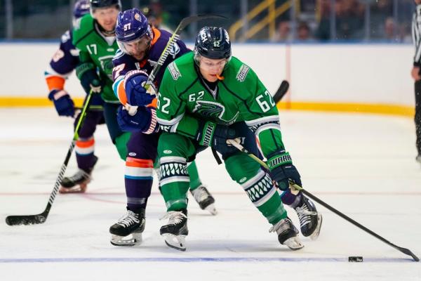 ECHL players go on strike; games postponed