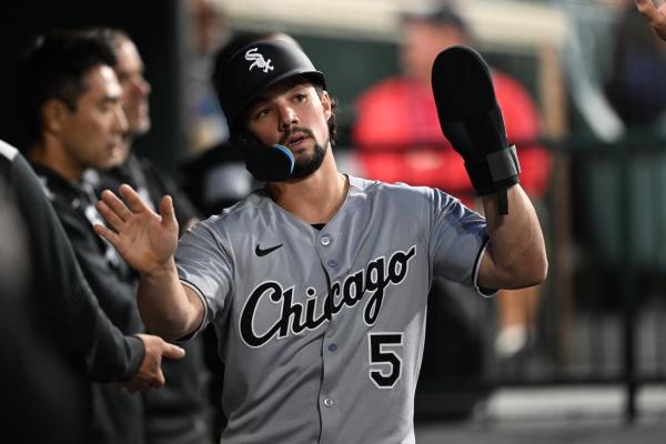 OF Dominic Fletcher, RHP Dan Altavilla join White Sox