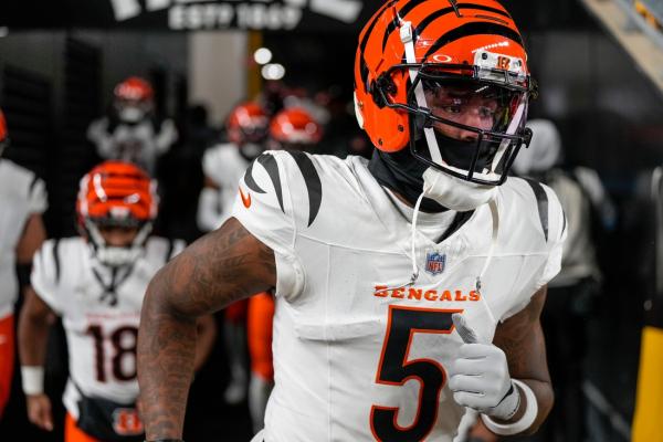 Bengals tag WR Tee Higgins again