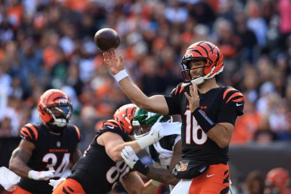 Bruised Bengals to battle baffled Bears