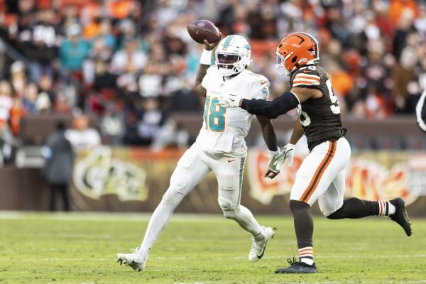 Dolphins defeat Browns to keep playoff hopes alive thumbnail