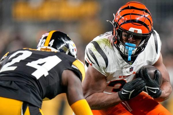 Bengals keep playoff hopes alive with victory over Steelers