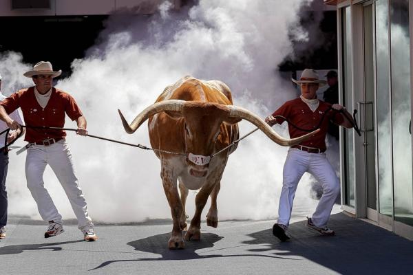 No bull, just dogs: Texas mascot banned, UGA’s OK for SEC title game