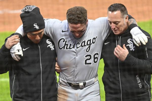 White Sox place C Korey Lee, OF Mike Tauchman on IL