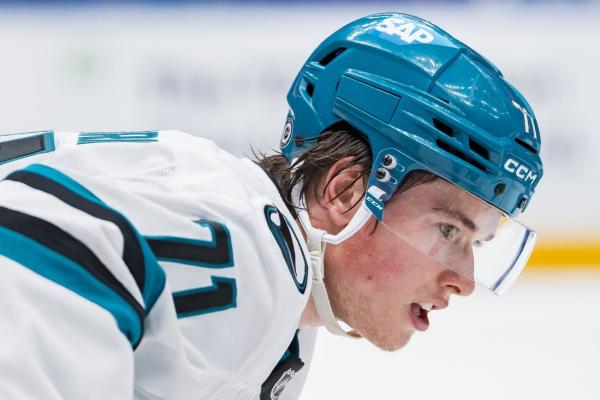 Macklin Celebrini, Lane Hutson, Dustin Wolf finalists for Calder