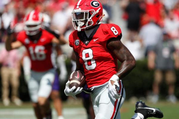 Georgia WR Colbie Young facing battery charge