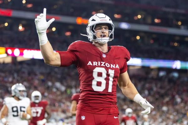 Cardinals TE Travis Vokolek (neck) out for season